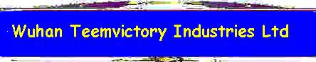 Homepage for Teemvictory